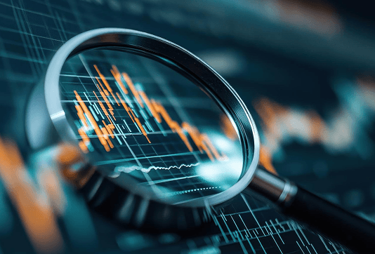 Fundamental Analysis Principles